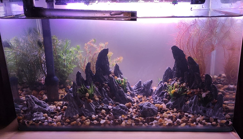 AWXZOM Soul Valley mini stones create natural bottom detail for aquariums