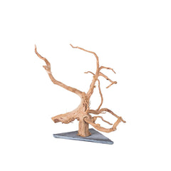 AWXZOM Spiderwood 9-14 inch in aquarium adds natural structure and hiding spots.