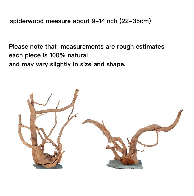 AWXZOM Spiderwood aquascape bonsai silhouette creates a dramatic focal point.