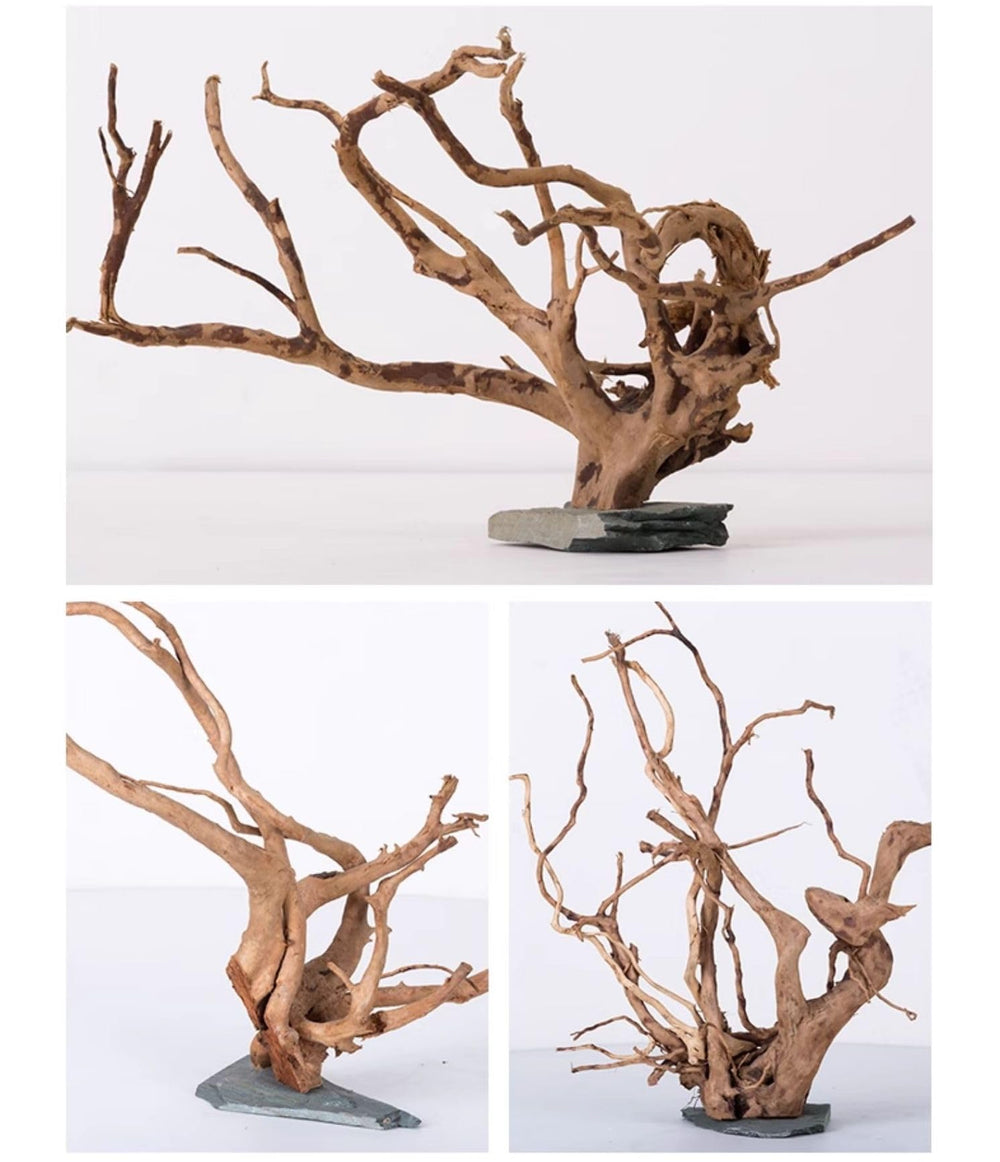 AWXZOM Spiderwood shown with stable slate base for secure placement.