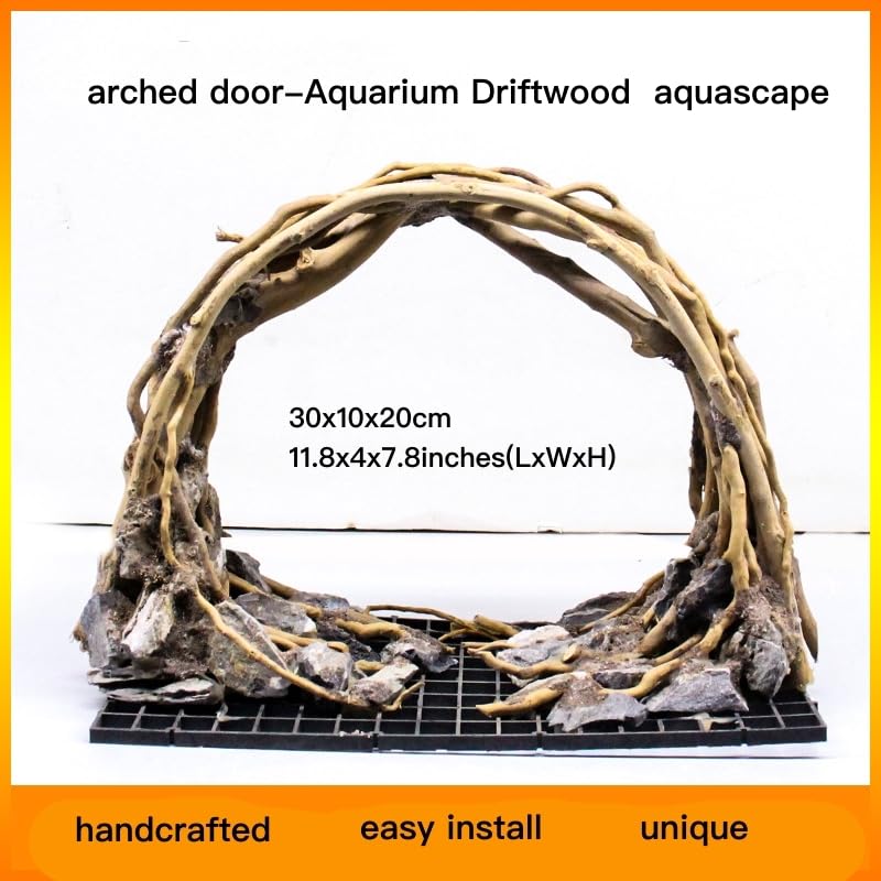 AWXZOM underwater landscape view enhances tank depth and natural ambiance.
