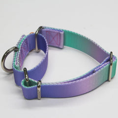 Axdvk Martingale collar gradient purple-green close-up stitching for durability