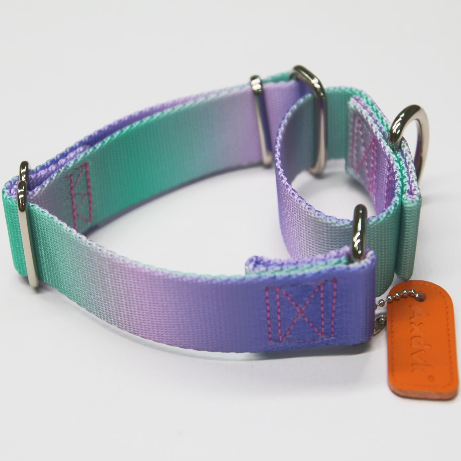 Axdvk Martingale collar gradient purple-green welded D-ring hardware for secure training