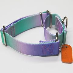 Axdvk Martingale collar gradient purple-green welded D-ring hardware for secure training