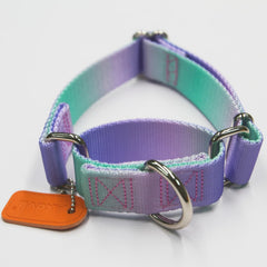 Axdvk Martingale collar gradient purple-green side view showing adjustable fit