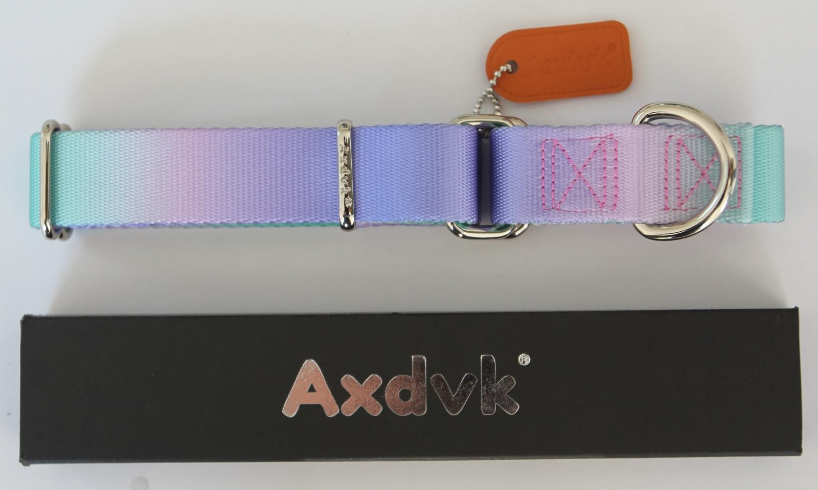 Axdvk gradient purple-green collar worn on a dog during a park walk for daily use