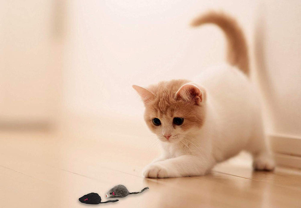 Each AXEL PETS mouse is 4 inches long for tossing and chasing.