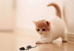 Each AXEL PETS mouse is 4 inches long for tossing and chasing.