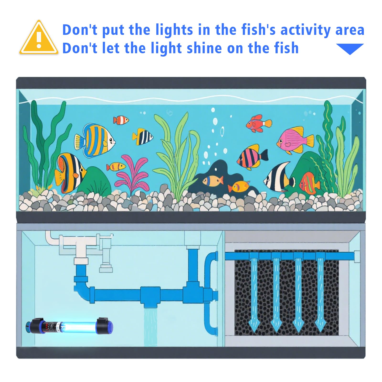 Ayamaxon pond setup with UV-C light installation showing flexibility.