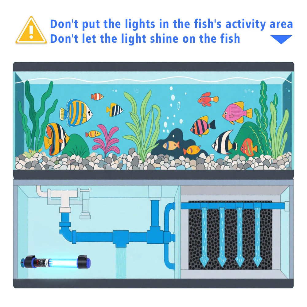 Ayamaxon pond setup with UV-C light installation showing flexibility.