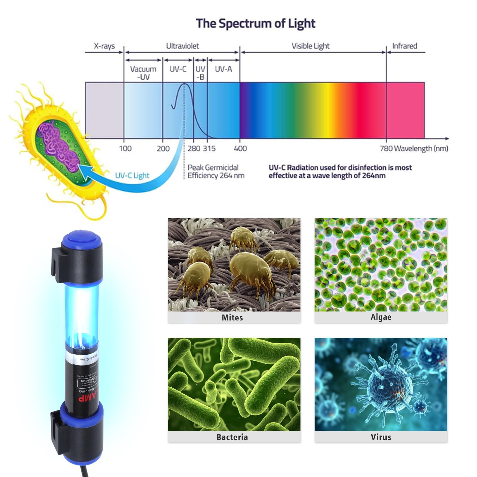 Ayamaxon UVC aquarium clean light with timer enhances convenient water maintenance