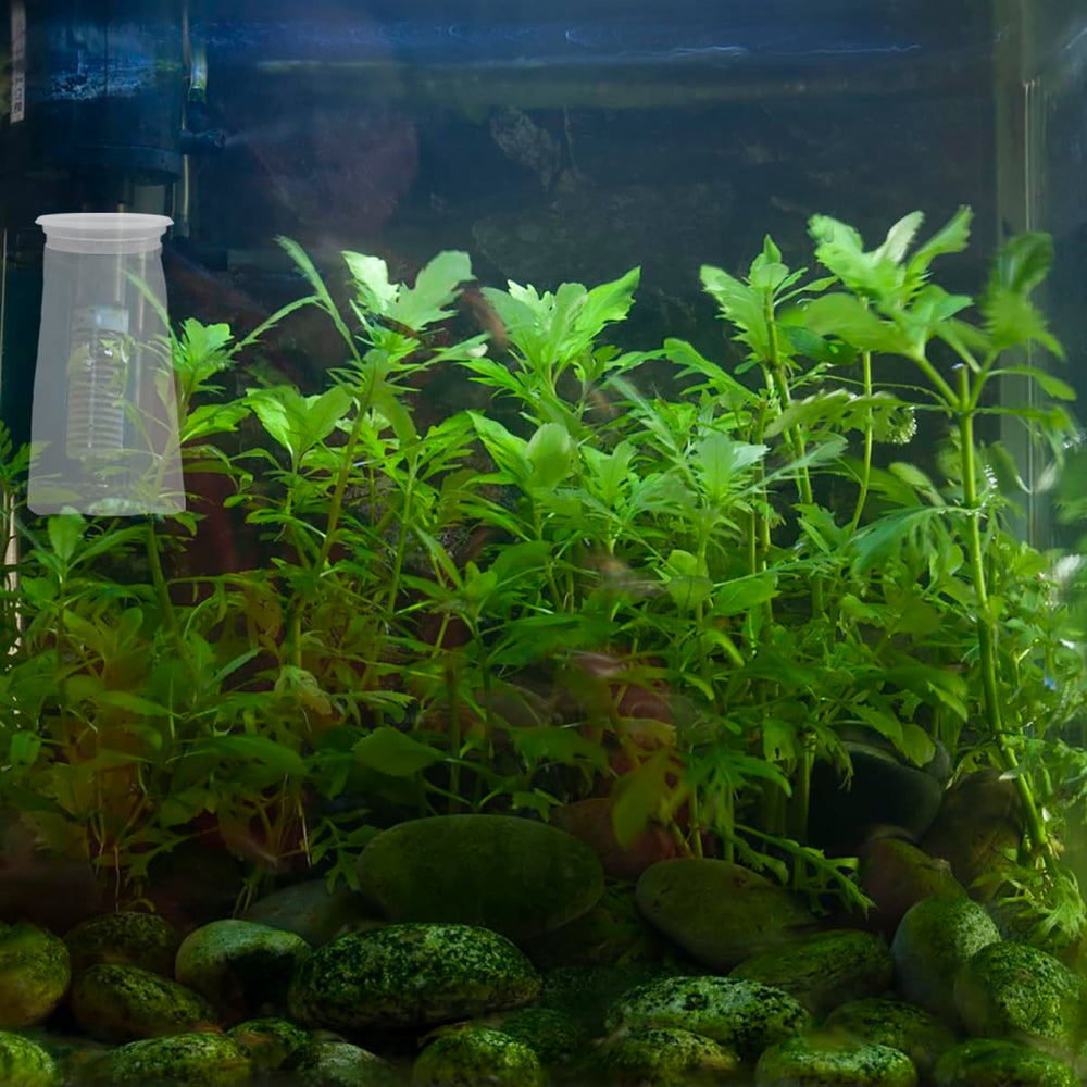 AYWFEY filter sock catching debris and food particles in aquarium