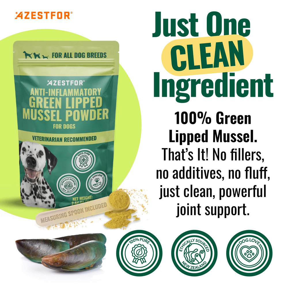 Azestfor Green Lipped Mussel dog powder jar front, premium all natural supplement for joints