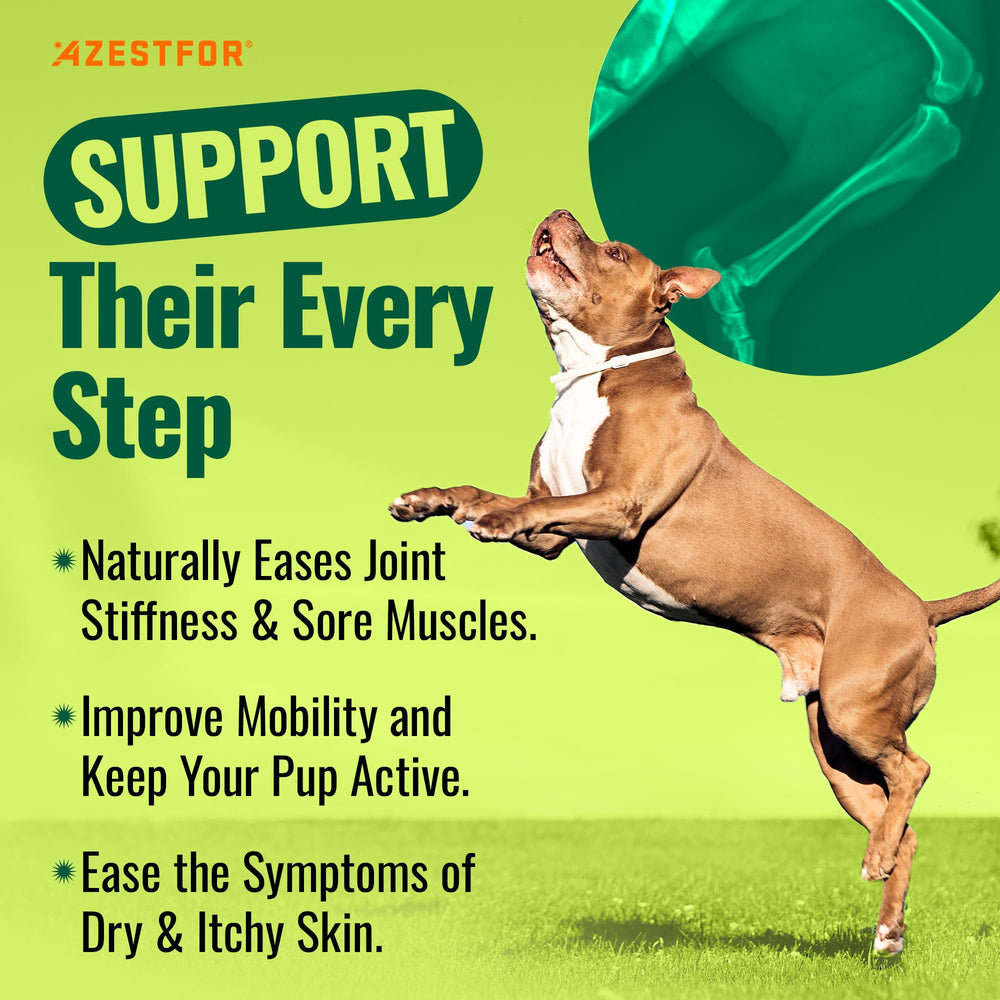Azestfor Green Lipped Mussel dog powder serving scoop, easy daily dosing