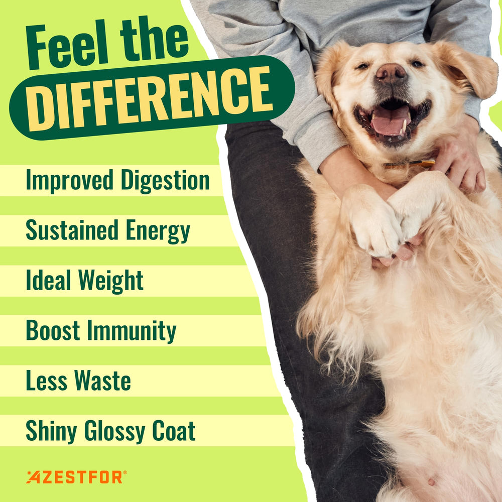 Azestfor ingredients include kelp and chia for nutrient density.