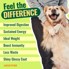 Azestfor ingredients include kelp and chia for nutrient density.