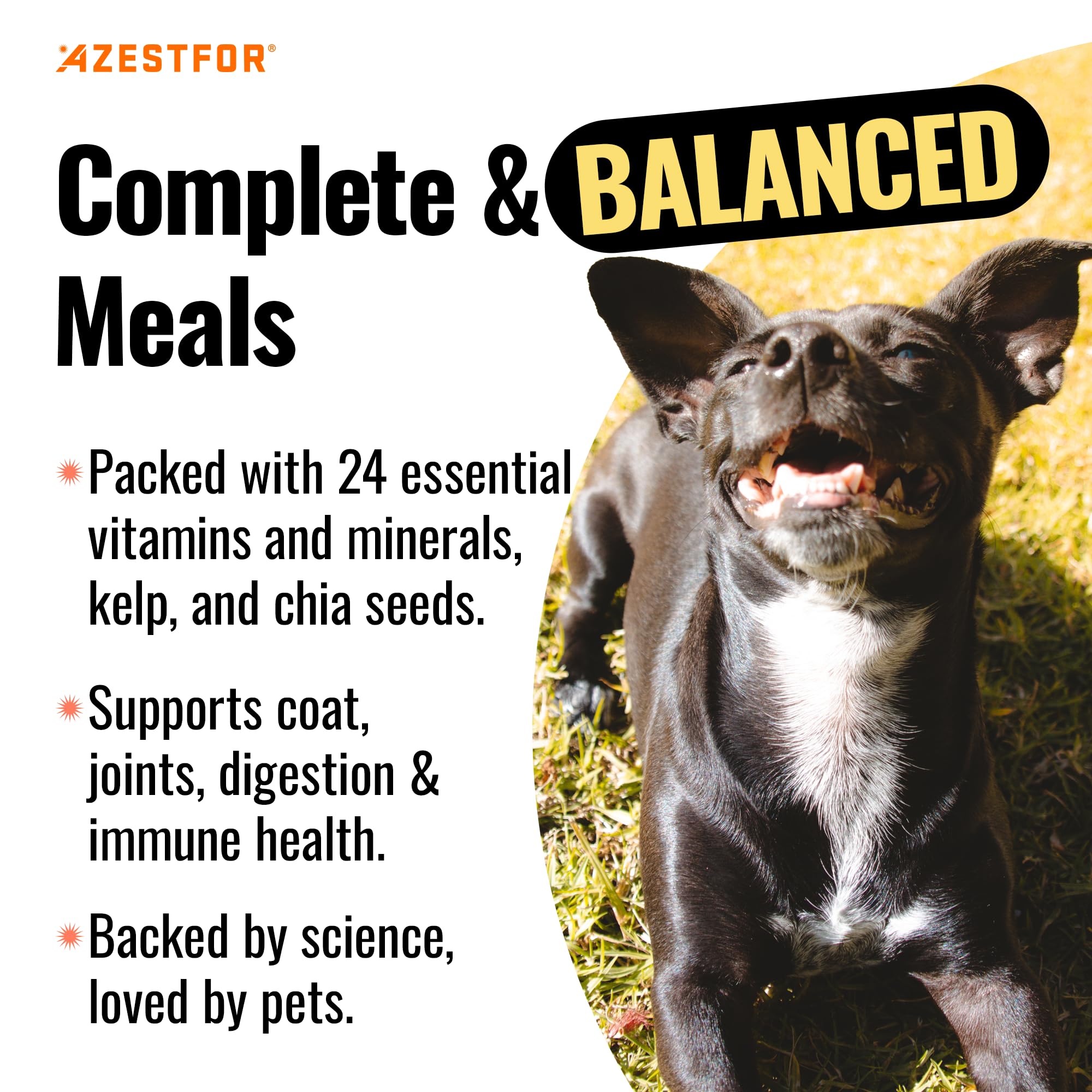 Azestfor scooper shows easy mixing into homemade dog meals.