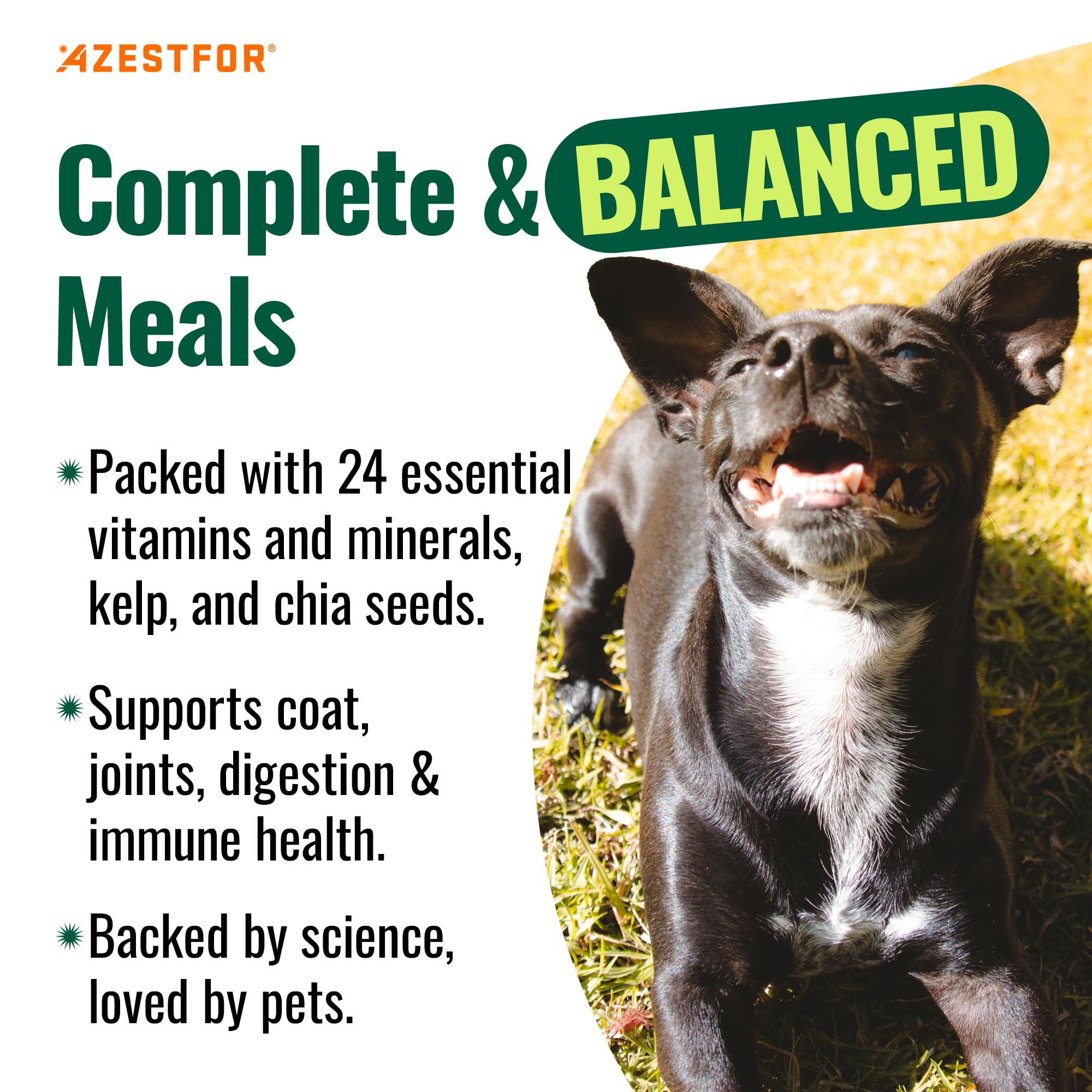 Azestfor chia-seeds image — omega fatty acids from natural ingredients.