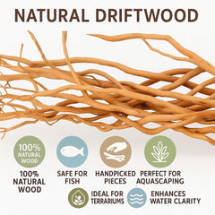 Azil natural driftwood supports aquascaping with a warm, earthy focal point.