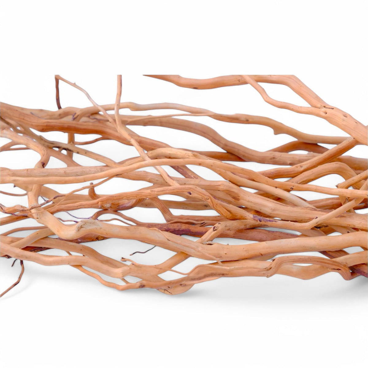 Azil driftwood root 170g decor adds natural texture to your aquarium.