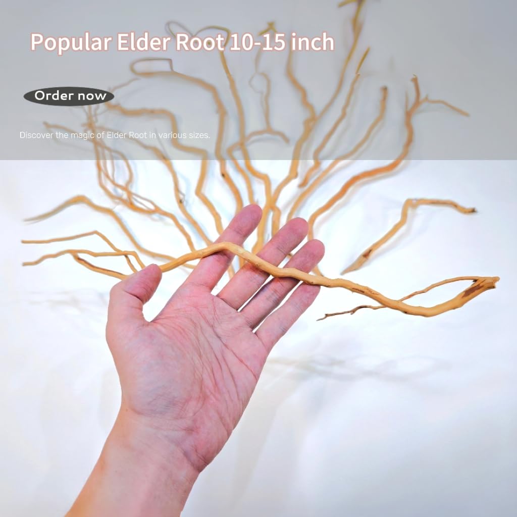 Azil driftwood enriches freshwater, saltwater, and planted tanks aesthetically.