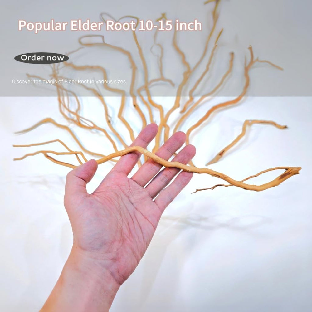 Azil driftwood enriches freshwater, saltwater, and planted tanks aesthetically.
