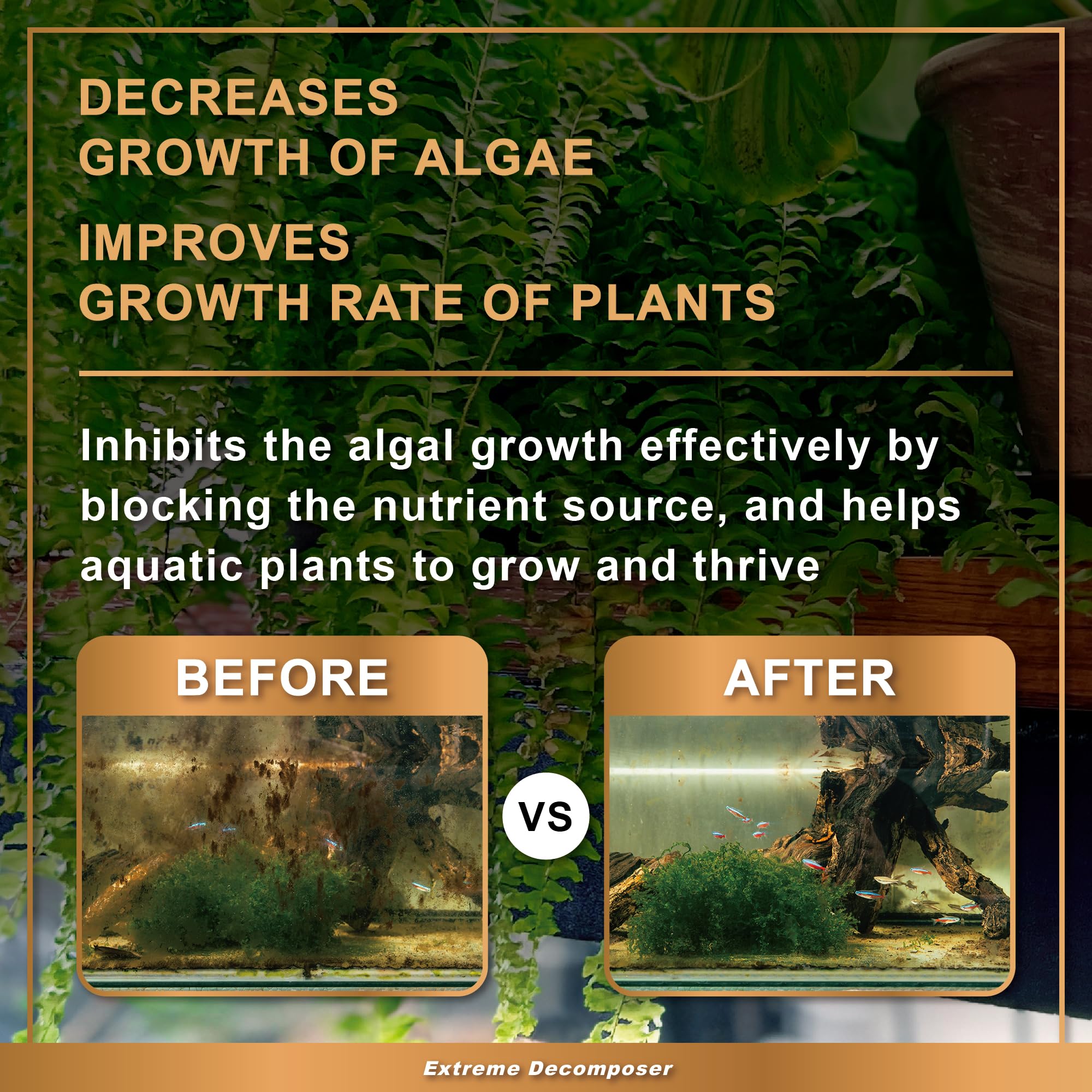 Azoo AZOOPLUS BIO XD Extreme Decomposer usage chart preview showing guidance
