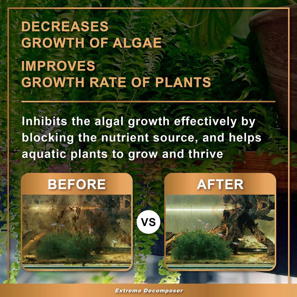 Azoo BIO XD clear-water effect photo captures improved water clarity.