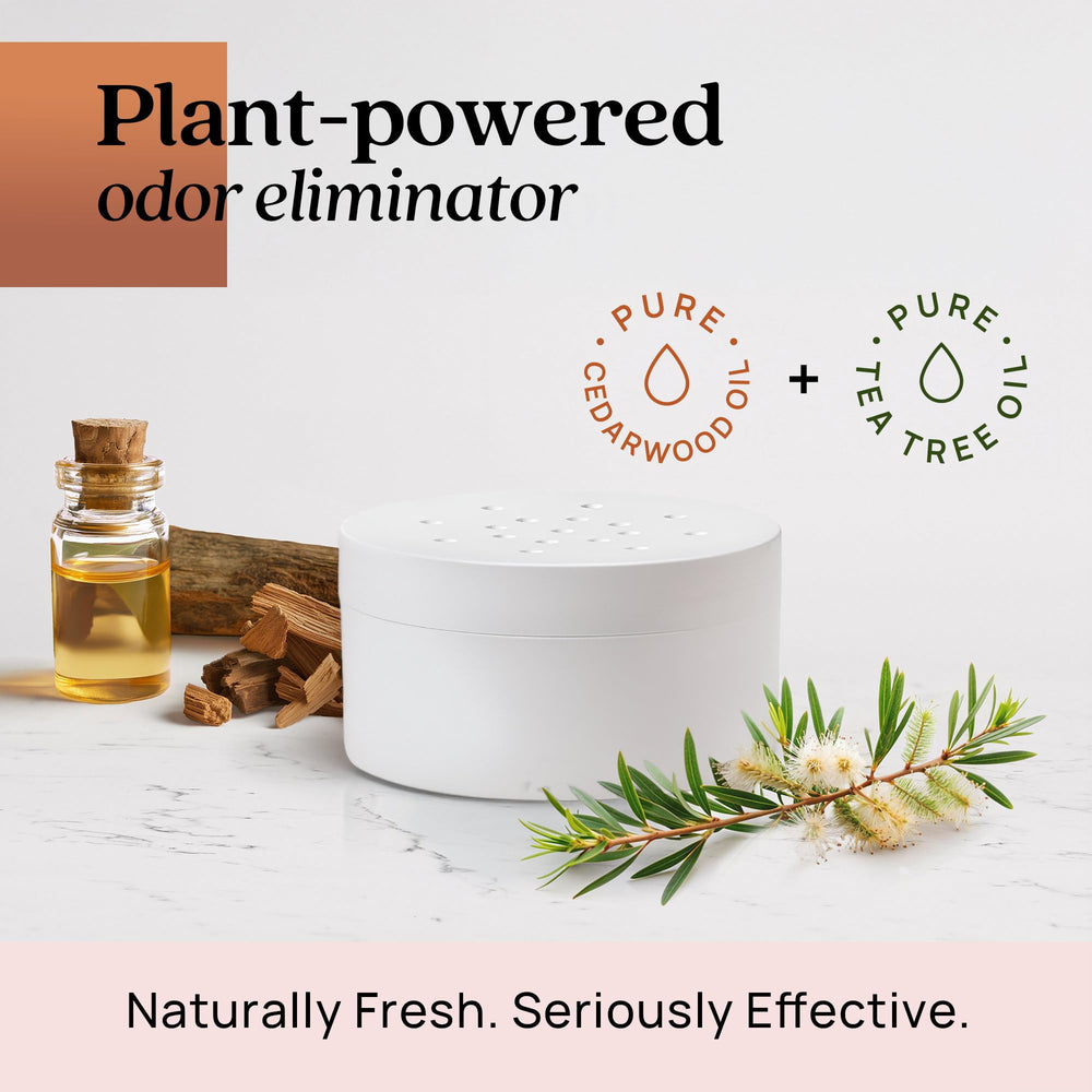 Azuna made in USA non-toxic pet odor eliminator