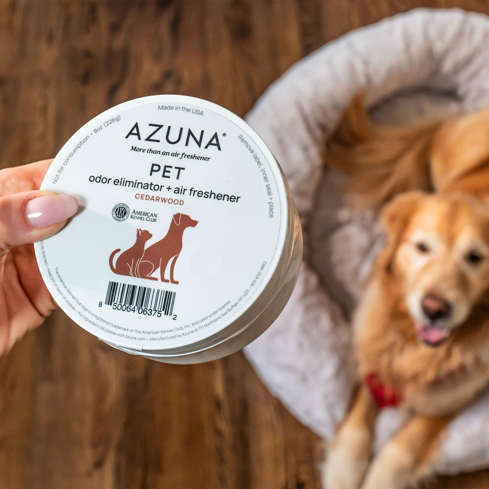 Azuna room deodorizer placed near litter box and dog bed for ongoing refresh