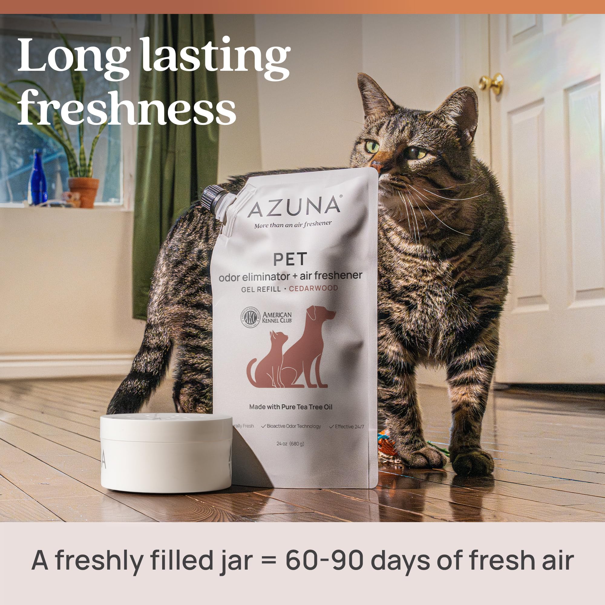 Azuna safe formula highlighted for homes with pets and kids