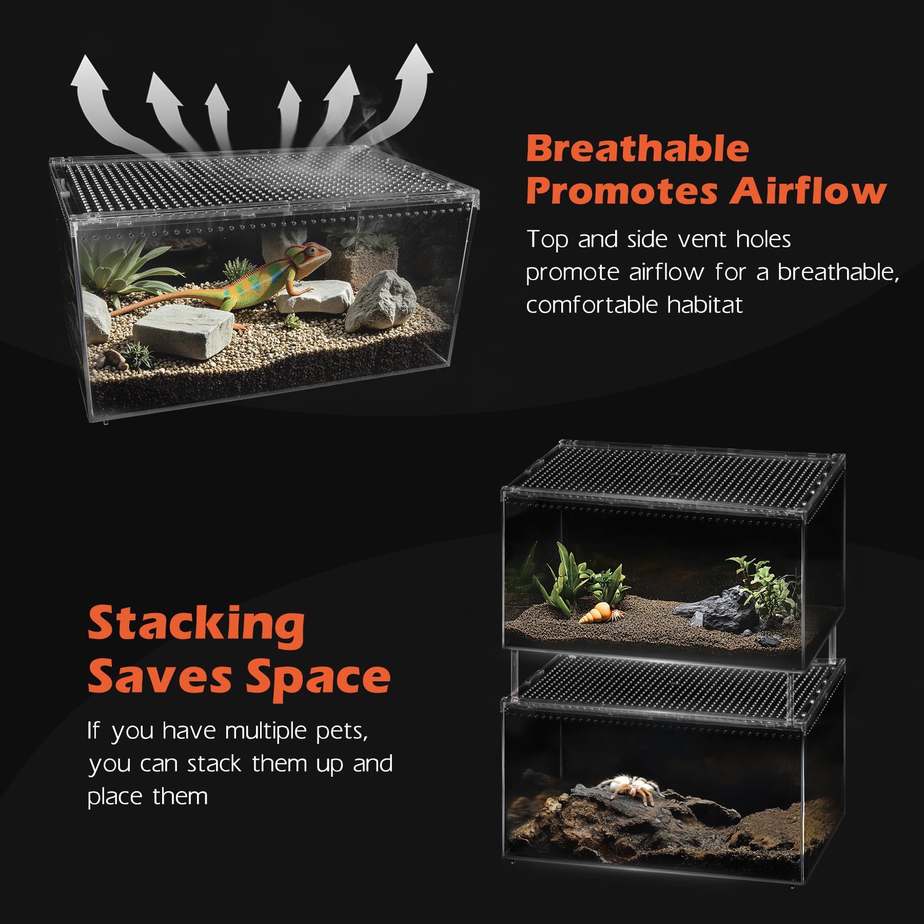 AZV desktop-friendly terrarium for classrooms and office displays.