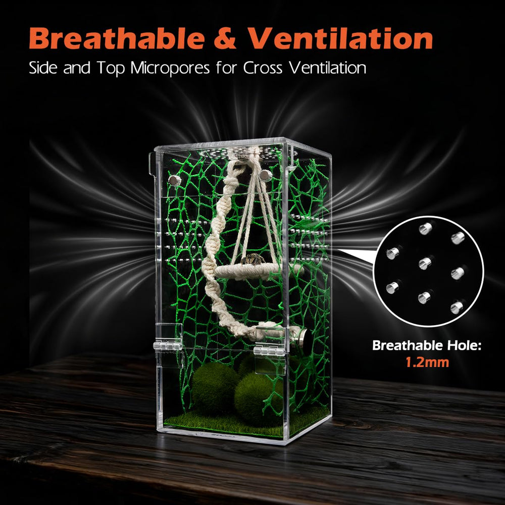 AZV Jumping Spider Enclosure all-in-one design prevents leaks