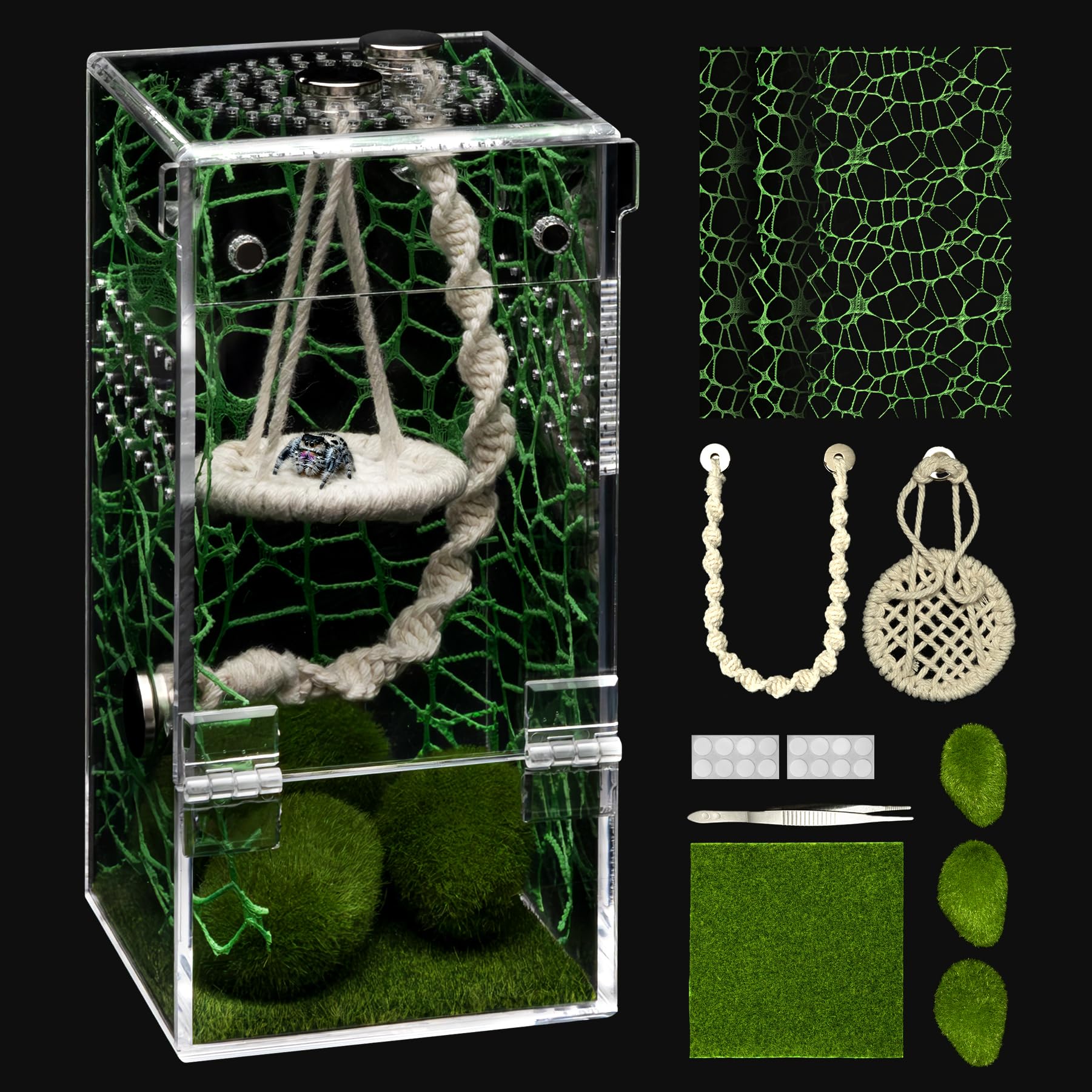 AZV Jumping Spider Enclosure with escape-proof door for safe feeding
