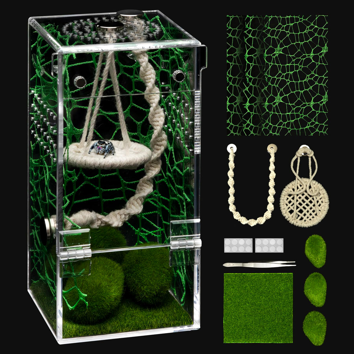 AZV Jumping Spider Enclosure with escape-proof door for safe feeding