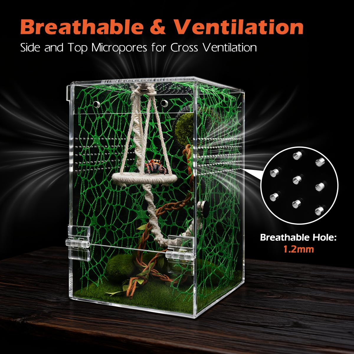 AZV Jumping Spider Enclosure 360-degree view for easy observation from all angles.