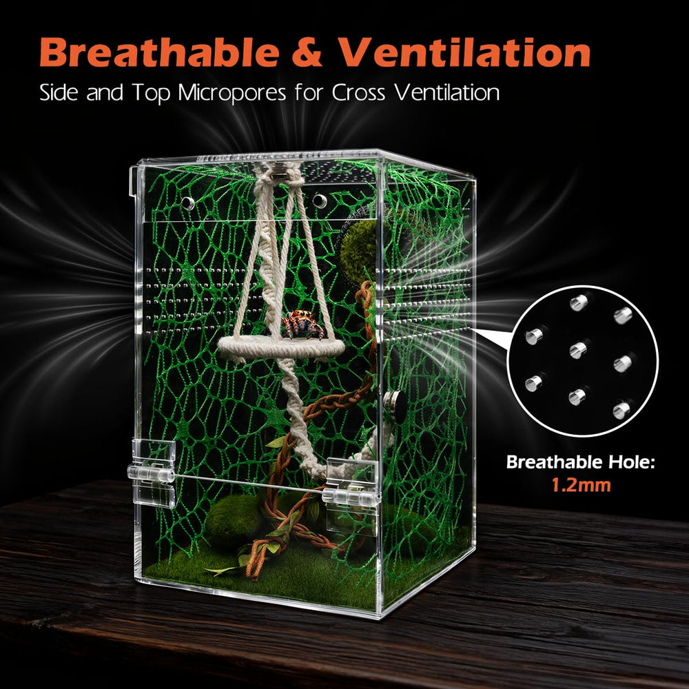 AZV Jumping Spider Enclosure 360-degree view for easy observation from all angles.