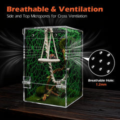AZV Jumping Spider Enclosure 360-degree view for easy observation from all angles.
