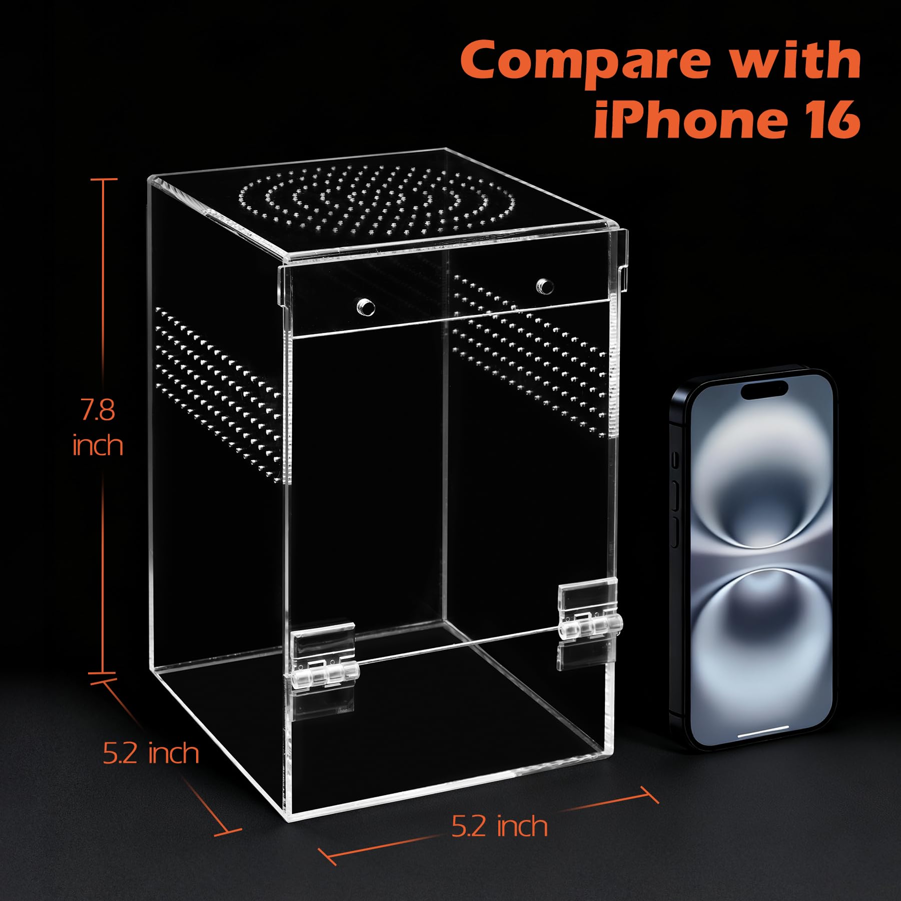 AZV Jumping Spider Enclosure clear acrylic material showcases movements clearly.