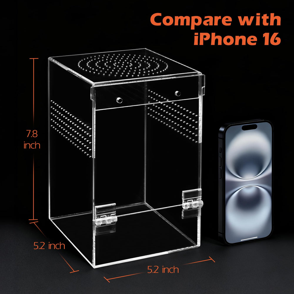 AZV Jumping Spider Enclosure clear acrylic material showcases movements clearly.