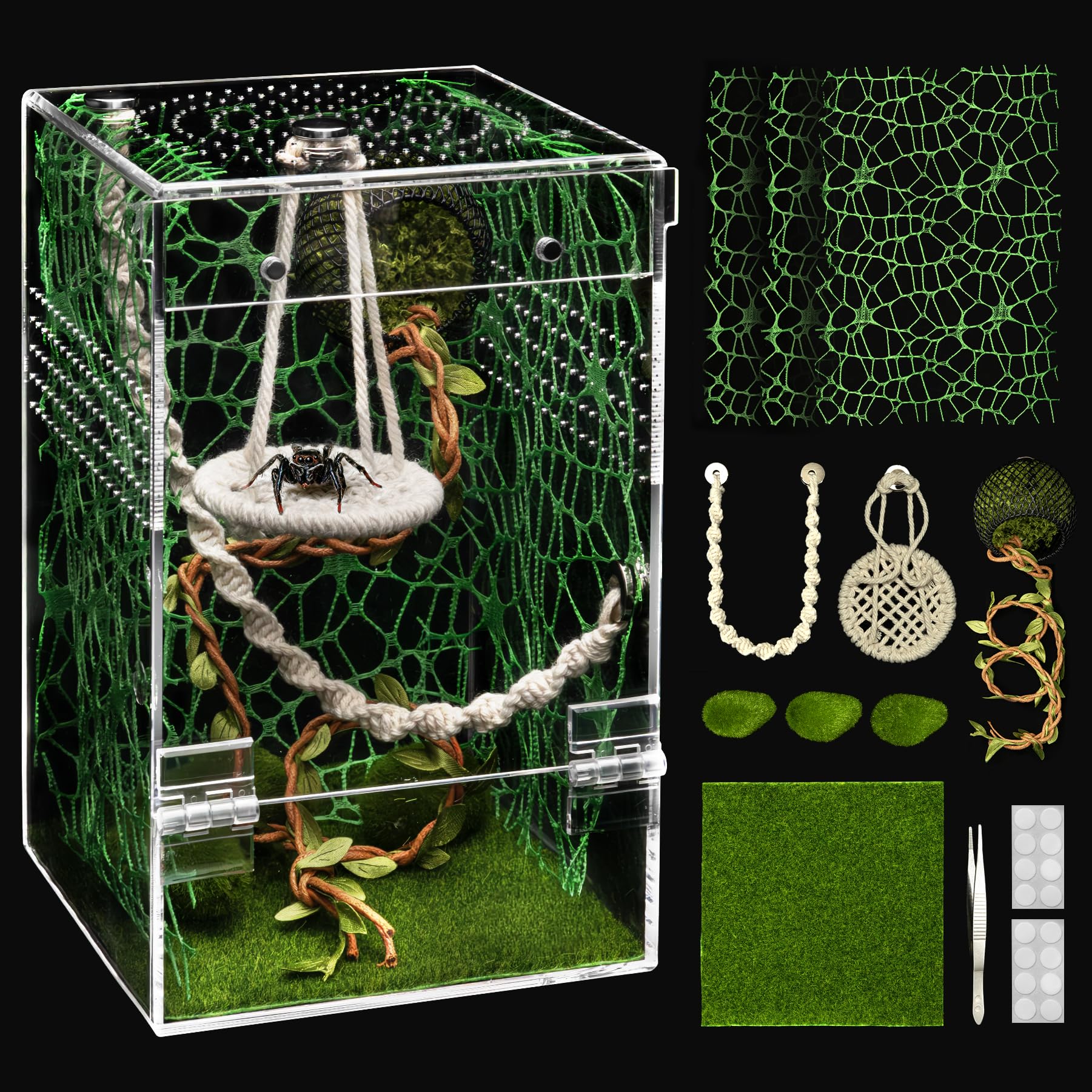 AZV Jumping Spider Enclosure front view with escape-proof design for safe observation.