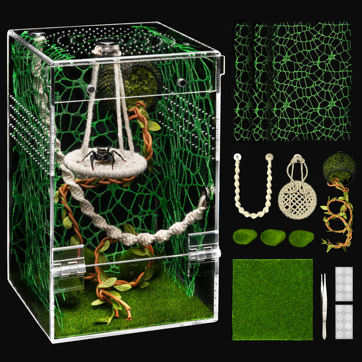 AZV Jumping Spider Enclosure front view with escape-proof design for safe observation.