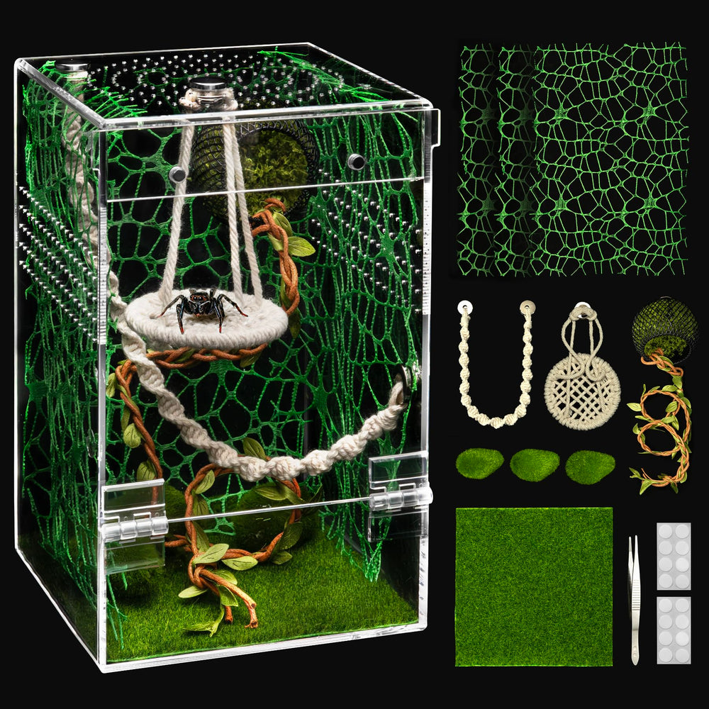 AZV Jumping Spider Enclosure front view with escape-proof design for safe observation.