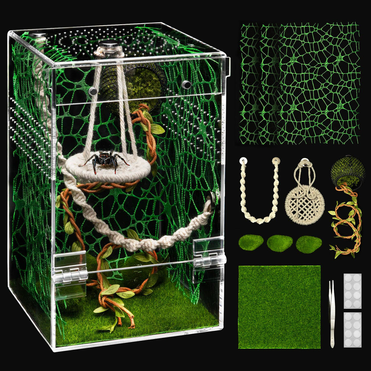 AZV Jumping Spider Enclosure front view with escape-proof design for safe observation.
