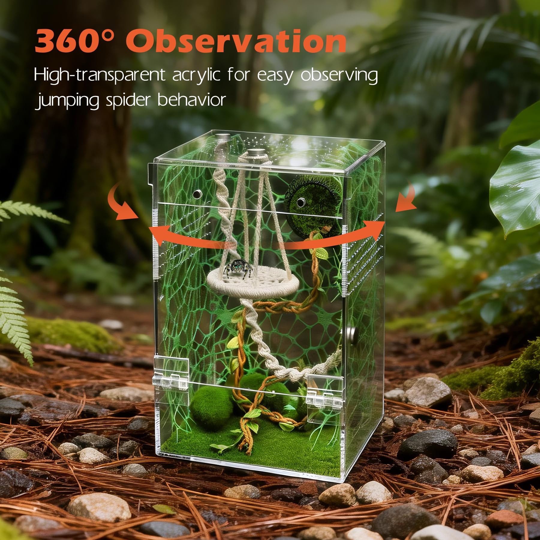 AZV Jumping Spider Enclosure side ventilation holes provide fresh airflow.