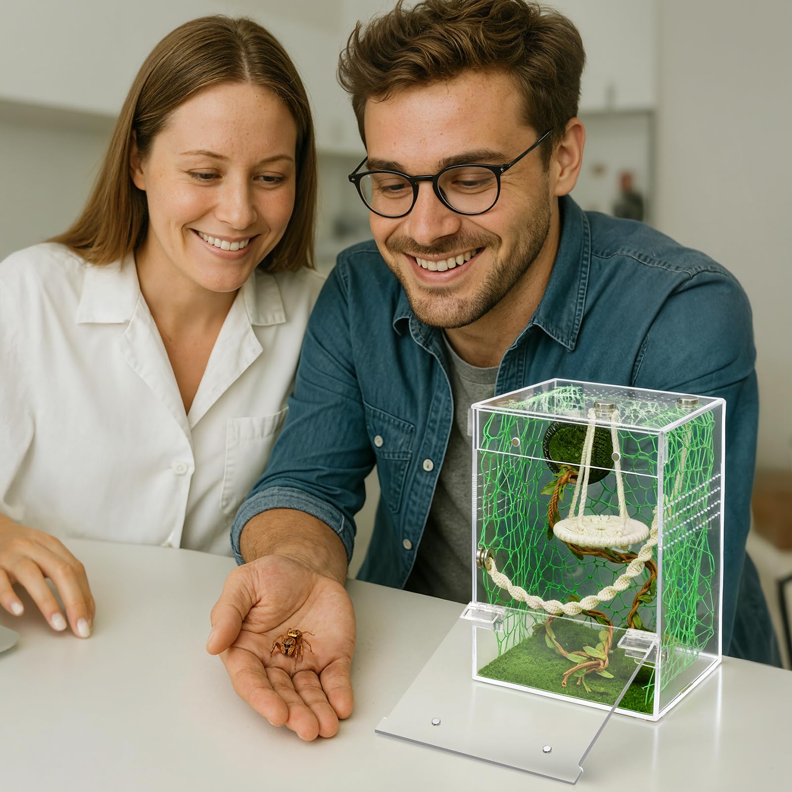AZV Jumping Spider Enclosure top view suitable for classroom or home observation.