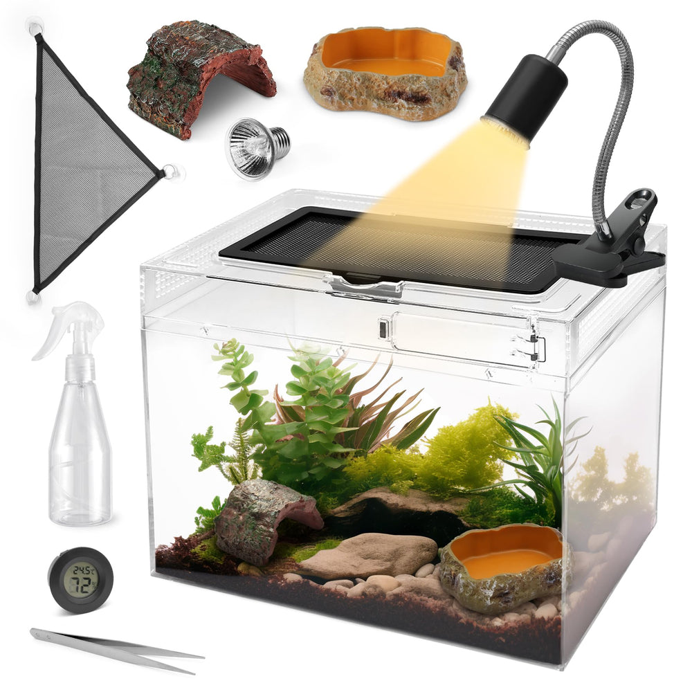 AZV Reptile Terrarium Tank for clear viewing of small reptiles