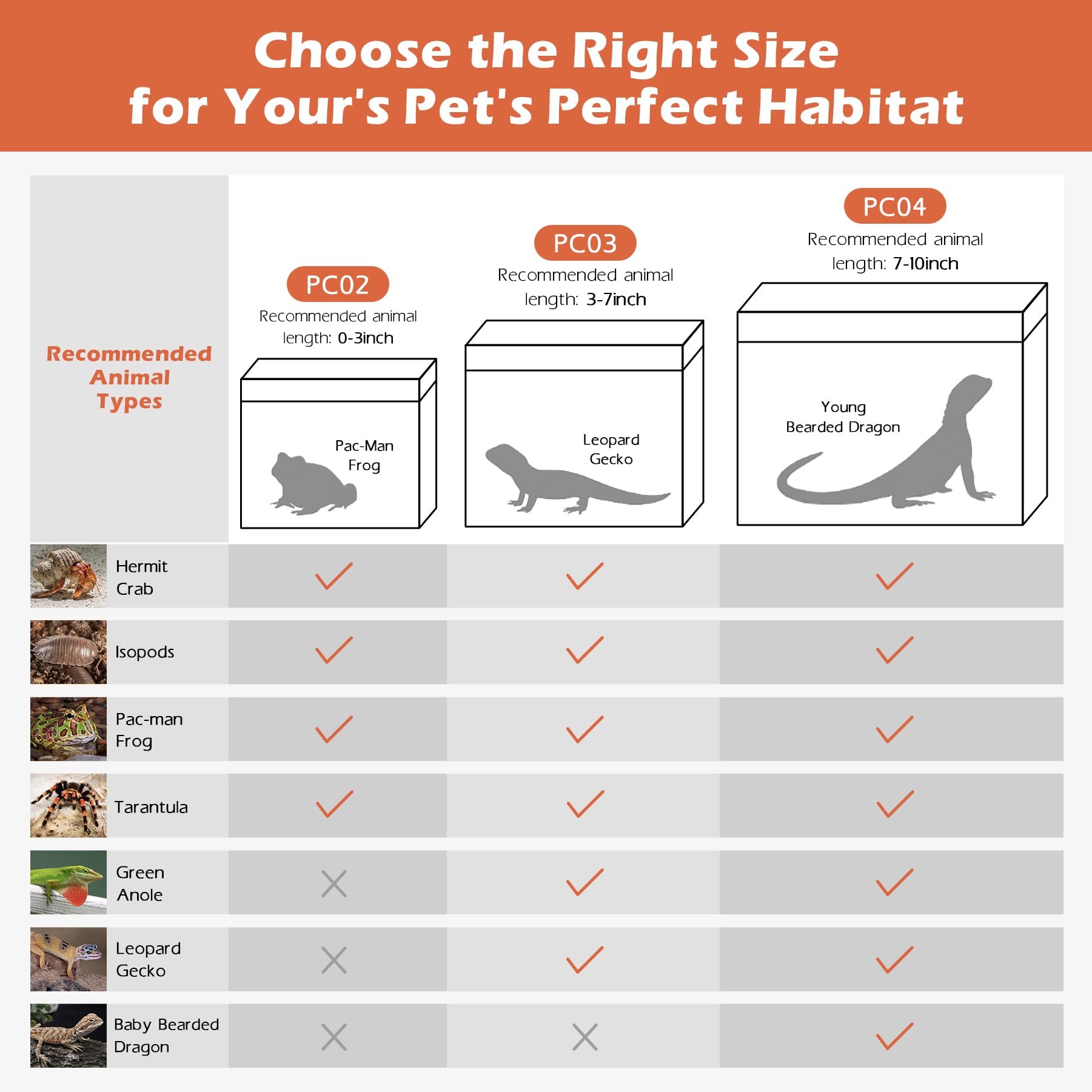 AZV Reptile Tweezers for precise feeding in the enclosure
