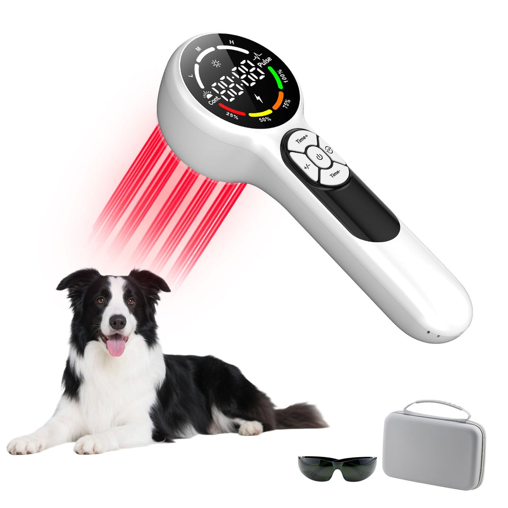 Azyldred pet laser device front view for at home pain relief and portable therapy
