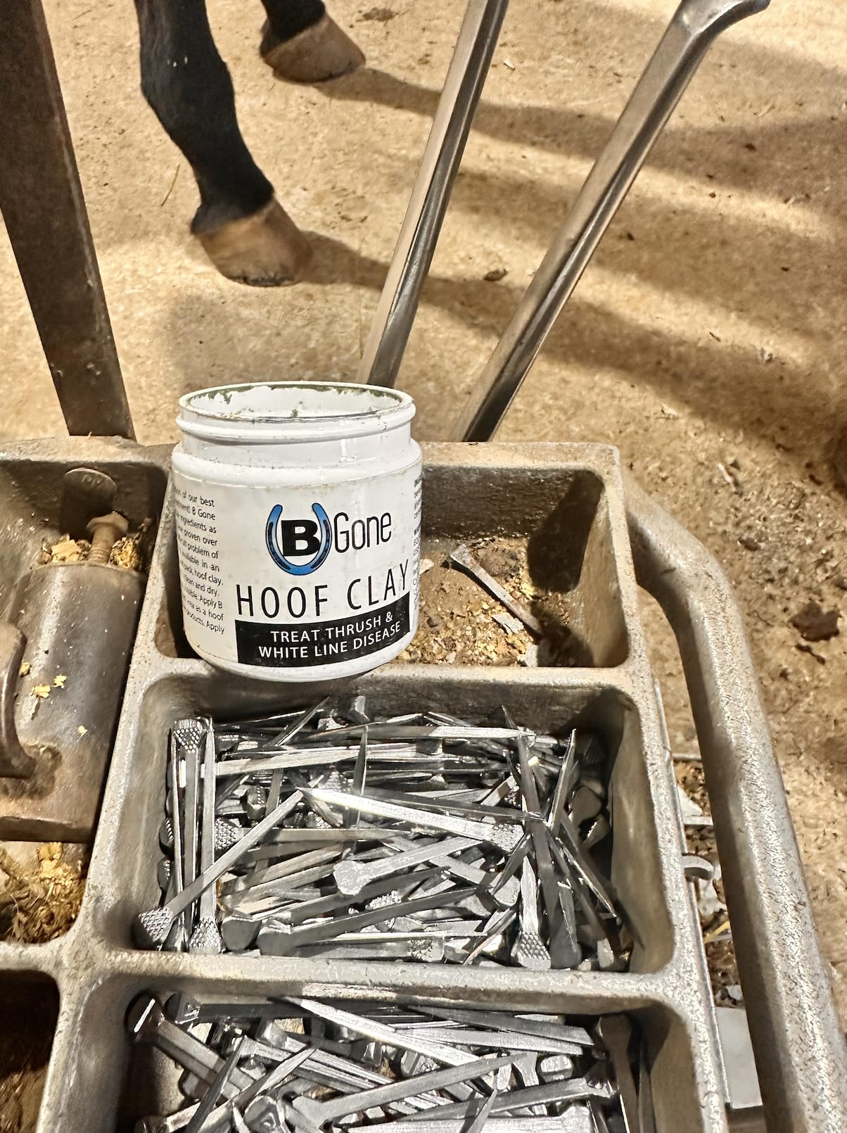 B Gone Hoof Clay whiteline disease: gentle coverage for affected hoof lines.